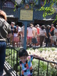 �ƶ���Peter  Pan