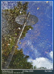 reflect3