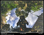 reflect5