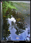reflect7