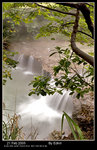 hotspring