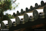 
8517 �G条��