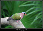 IMG_0008