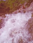 IMG_0383