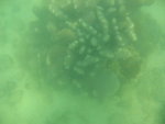 IMG_0001