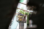 IMG_8041