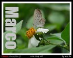
�L�Z�@�ɨt�C (16)