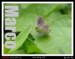 
�L�Z�@�ɨt�C (18)
