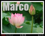 
�L�Z�@�ɨt�C (12)