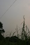 IMG_0705