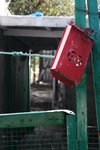 IMG_7487_b