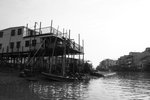 IMG_7534