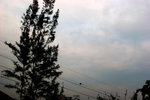 IMG_6775