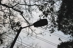 IMG_6785