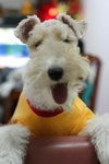 moki_1127