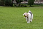 IMG_8135