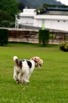 IMG_8145