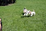 IMG_1166