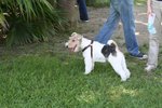 IMG_1177