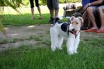 IMG_1187