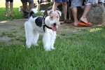 IMG_1188