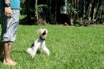 IMG_1196
