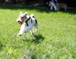 IMG_1204