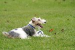 IMG_2184
