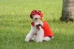 Moki_0020_moki
