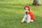 Moki_0022_moki