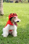 Moki_0030_moki