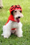 Moki_0032_moki