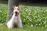 Moki_0075_moki