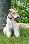 Moki_0078_moki