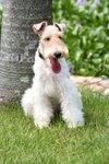 Moki_0080_moki