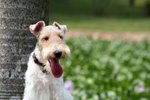 Moki_0091_moki