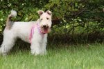 Moki_0115