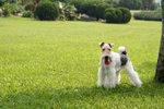 Moki_0122