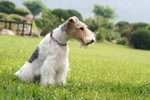 Moki_0130