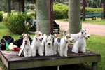 Moki_0177