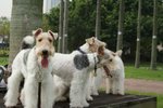 Moki_0184
