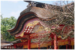 �Ӯ_����満�c - �֩� Dazaifu Tenmangu Shrine - Fukuoka 