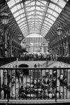 Convent Garden