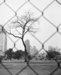 yl-house-004-es