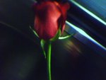 P22-08-07_20.09