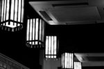IMG_8924