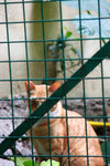 IMG_8988
