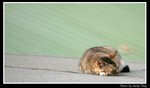 �T���s����(2)
02/04/2007