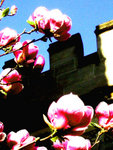 random 012_2