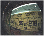 98050031